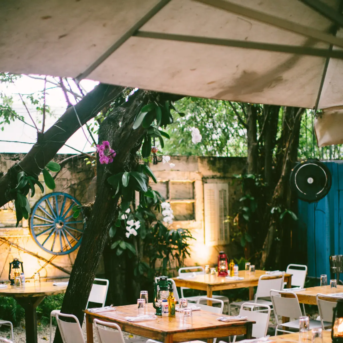 ©Gesischilling 00191