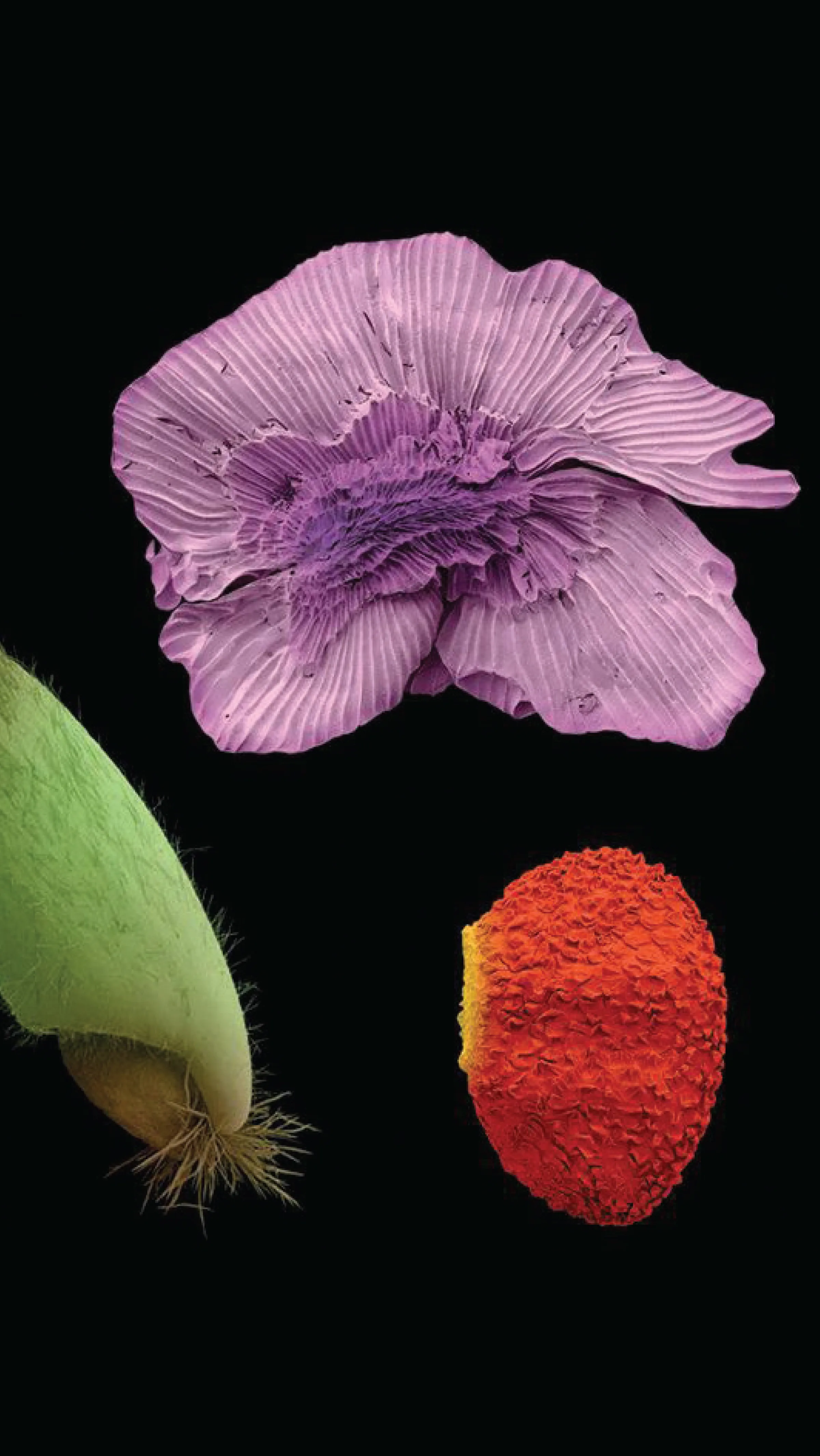 00 Zine 09 B 916 Mobile