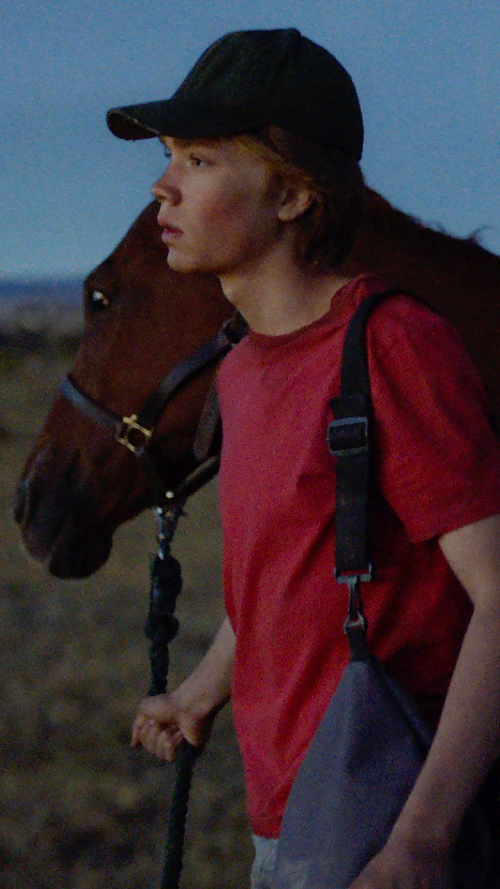 Lop 16X9 Treated Tall 916 Mobile