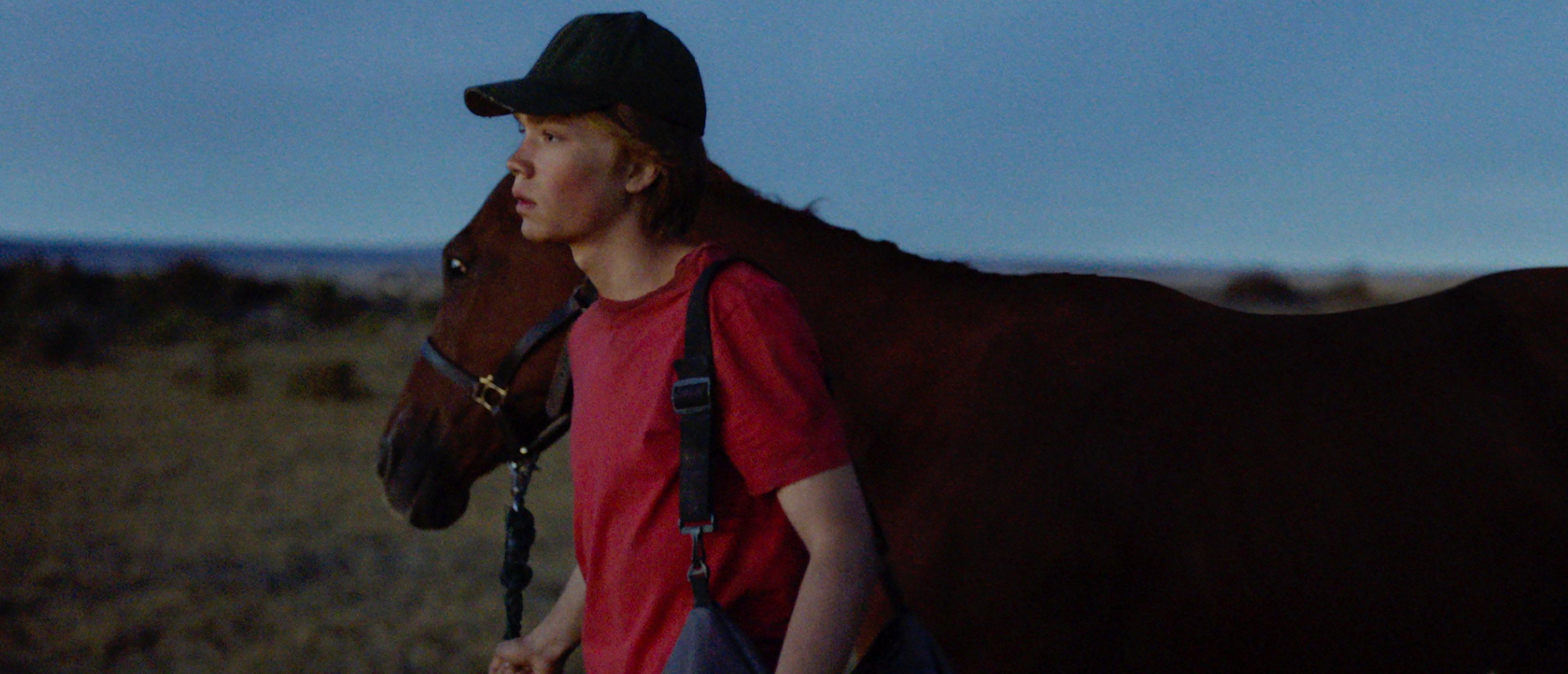 Lop Wide Cover Treated