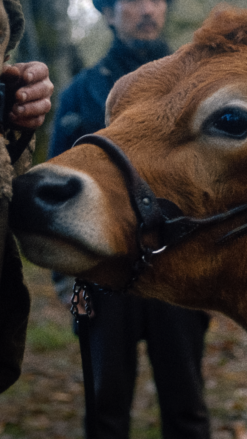 Fc Thumbnail Trailer Unconstrained 916 Mobile